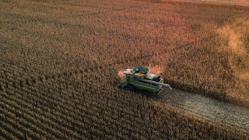 В Херсонской области собрали почти 22 тыс. тонн зерновых и зернобобовых культур