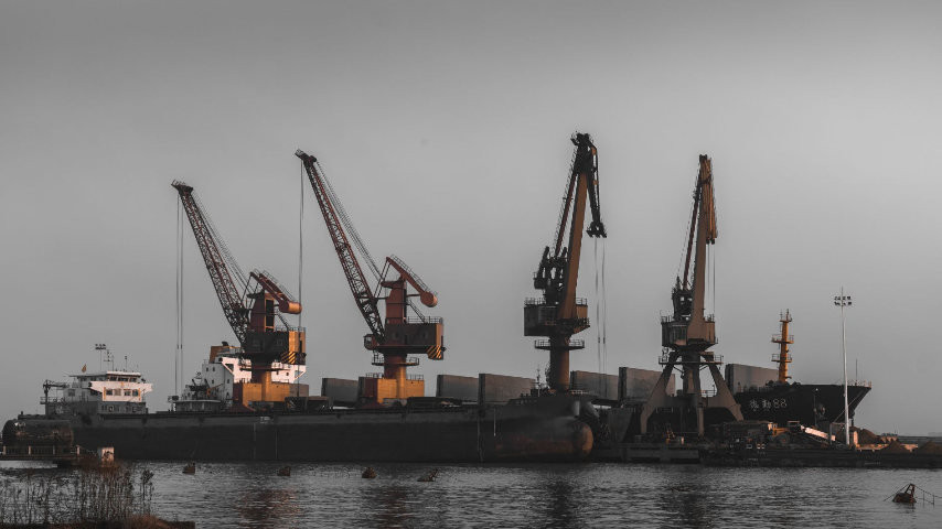 С начала года мариупольский порт перевалил более 74 тыс. тонн грузов