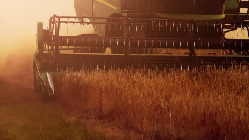 ГУП «Антоновское опытно-экспериментальное хозяйство» впервые использует современные комбайны для сбора урожая