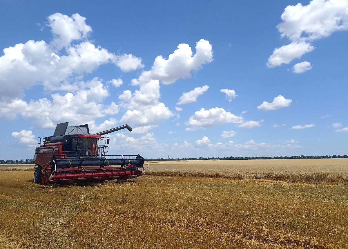 Фермеры Запорожской области стали получать за зерно вдвое больше