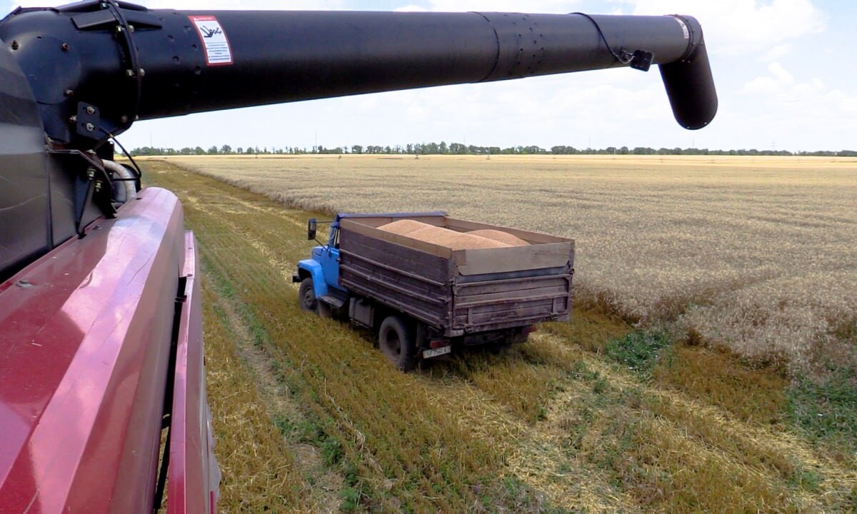 Запорожская область готова экспортировать зерно в Африку