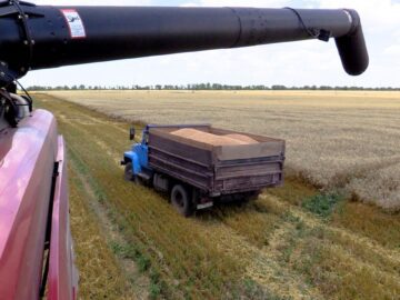 Запорожская область готова экспортировать зерно в Африку