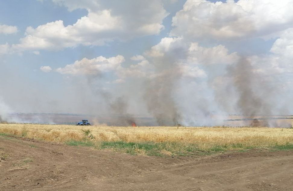 ВСУ обстреляли поле озимой пшеницы в Токмаке