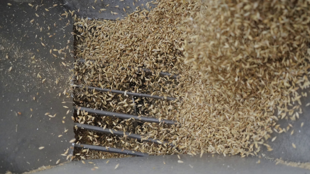 Итоги зерновой сделки. Запад против усиления России на мировом рынке продовольствия