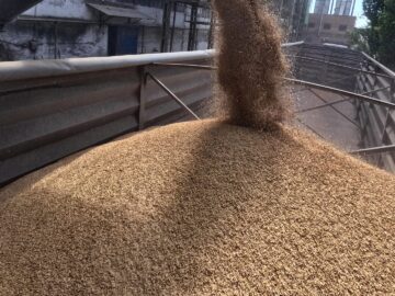 Россия обновила трёхлетний рекорд экспорта зерна
