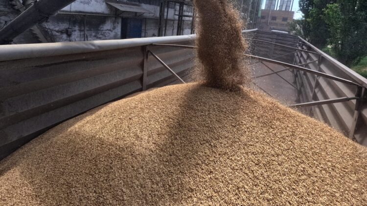 Россия и Китай заключили крупнейший контракт на поставку зерна