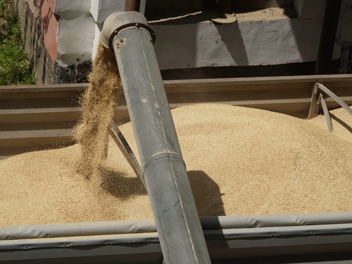 Эксперт скептически оценивает перспективы реализации глобальных договоренностей аналогичных зерновой сделке