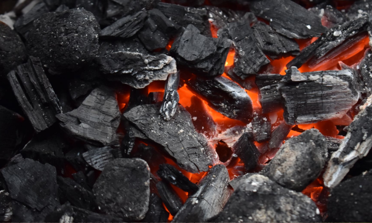 Турция купила у России с февраля по июнь 160,4 тыс. тонн угля из ЛДНР