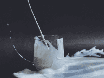 Производство молока на Алтае увеличится на 50 тысяч тонн