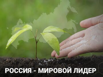 Россия – мировой лидер по экспорту удобрений