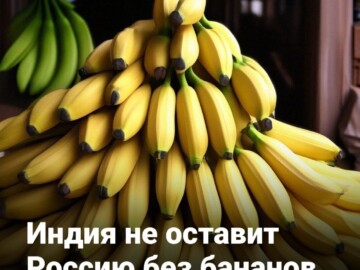 Индия не оставит Россию без бананов